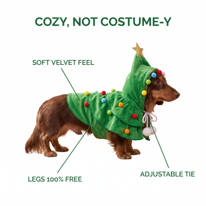 Christmas Tree Costume for Small Dogs & Cats